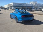 2019 Mustang Thumbnail 5