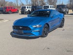 2019 Mustang Thumbnail 7