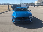 2019 Mustang Thumbnail 8