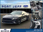 2019 Mustang Thumbnail 1