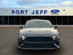 2019 Mustang Thumbnail 2