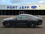 2019 Mustang Thumbnail 9