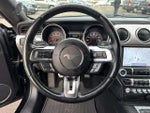 2019 Mustang Thumbnail 19