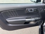 2019 Mustang Thumbnail 21