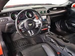 2019 Mustang Thumbnail 2