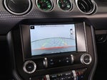 2019 Mustang Thumbnail 6