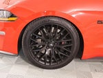 2019 Mustang Thumbnail 17