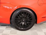 2019 Mustang Thumbnail 18