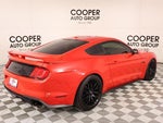 2019 Mustang Thumbnail 20