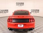 2019 Mustang Thumbnail 21