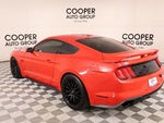2019 Mustang Thumbnail 22