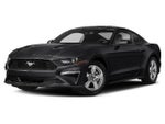 2019 Mustang Thumbnail 1