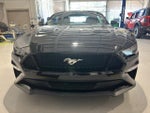 2019 Mustang Thumbnail 2