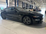 2019 Mustang Thumbnail 3