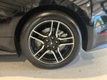 2019 Mustang Thumbnail 9