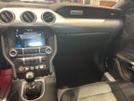 2019 Mustang Thumbnail 13