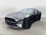 2019 Mustang Thumbnail 1