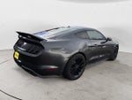 2019 Mustang Thumbnail 4