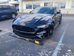 2019 Mustang Thumbnail 1