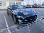 2019 Mustang Thumbnail 2
