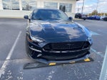 2019 Mustang Thumbnail 3