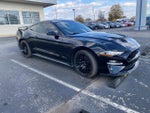 2019 Mustang Thumbnail 12