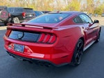 2019 Mustang Thumbnail 5