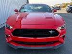 2019 Mustang Thumbnail 7