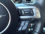 2019 Mustang Thumbnail 16