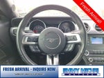 2019 Mustang Thumbnail 8