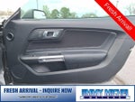 2019 Mustang Thumbnail 13