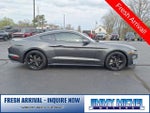 2019 Mustang Thumbnail 17