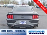 2019 Mustang Thumbnail 21