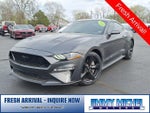 2019 Mustang Thumbnail 25