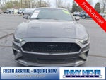 2019 Mustang Thumbnail 28
