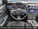 2020 Mustang Thumbnail 26