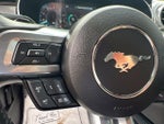 2021 Mustang Thumbnail 19