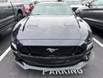 2021 Mustang Thumbnail 10