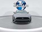 2021 Mustang Thumbnail 3