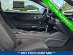 2025 Mustang Thumbnail 13