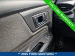 2025 Mustang Thumbnail 19