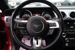 2017 Mustang Thumbnail 20