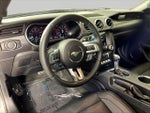 2018 Mustang Thumbnail 17