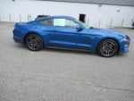 2018 Mustang Thumbnail 4
