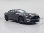 2019 Mustang Thumbnail 1