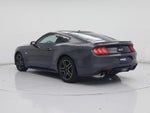 2019 Mustang Thumbnail 2