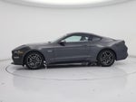 2019 Mustang Thumbnail 3