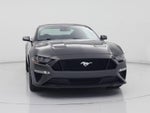 2019 Mustang Thumbnail 5