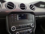 2019 Mustang Thumbnail 14