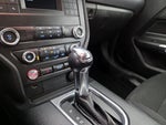 2019 Mustang Thumbnail 16